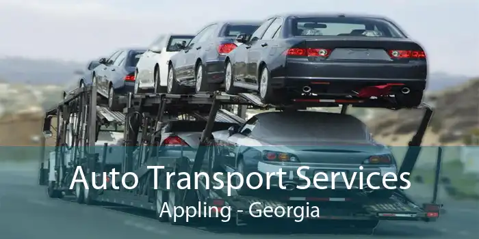 Auto Transport Services Appling - Georgia