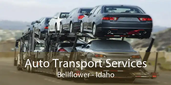 Auto Transport Services Bellflower - Idaho