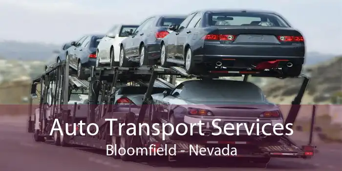 Auto Transport Services Bloomfield - Nevada