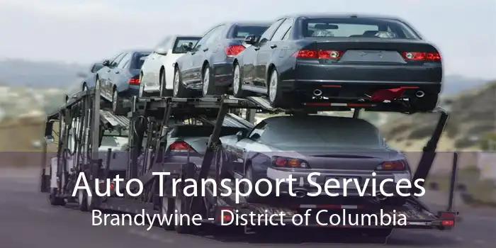 Auto Transport Services Brandywine - District of Columbia