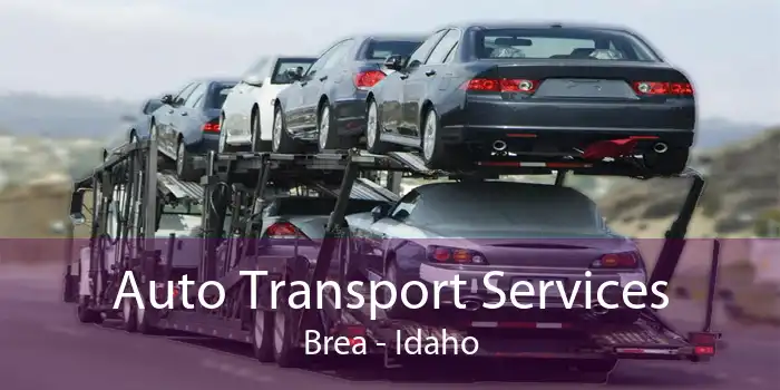 Auto Transport Services Brea - Idaho
