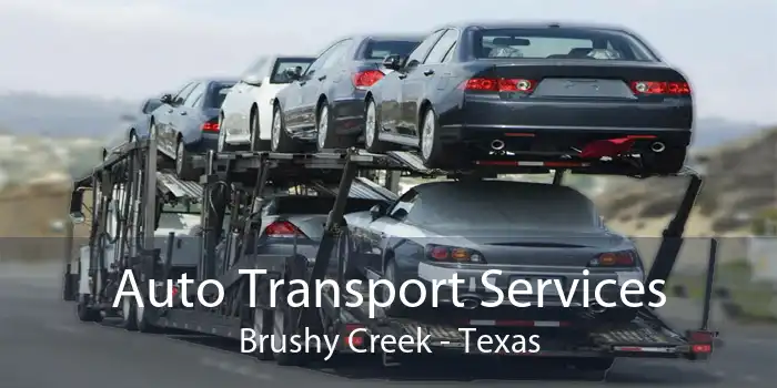 Auto Transport Services Brushy Creek - Texas