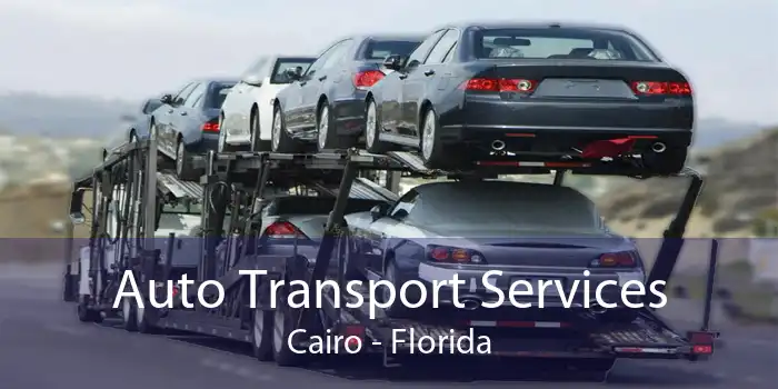 Auto Transport Services Cairo - Florida