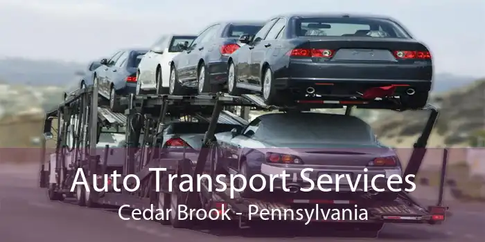Auto Transport Services Cedar Brook - Pennsylvania