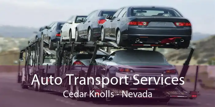 Auto Transport Services Cedar Knolls - Nevada