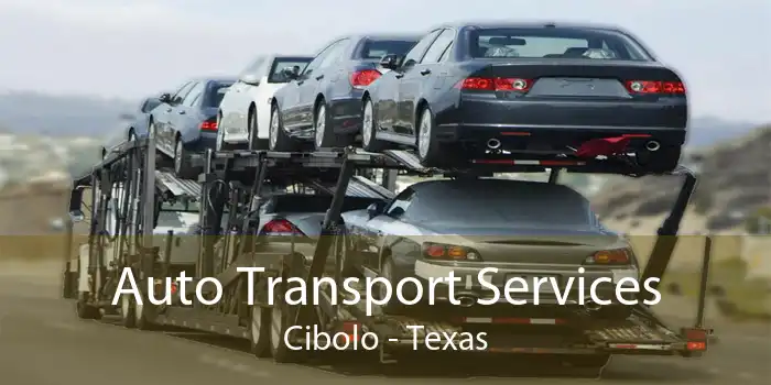 Auto Transport Services Cibolo - Texas