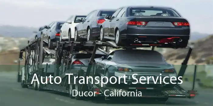 Auto Transport Services Ducor - California