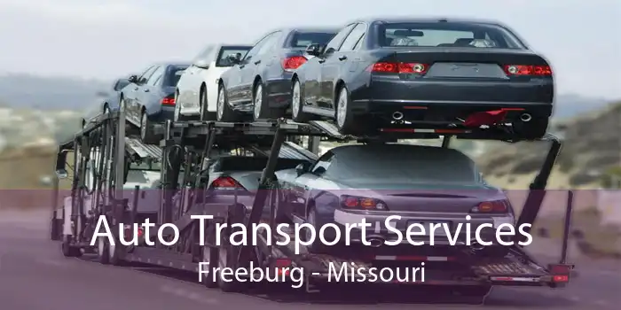 Auto Transport Services Freeburg - Missouri