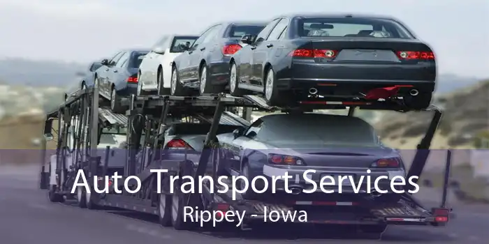 Auto Transport Services Rippey - Iowa