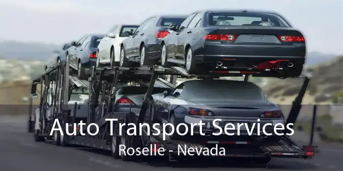 Auto Transport Services Roselle - Nevada