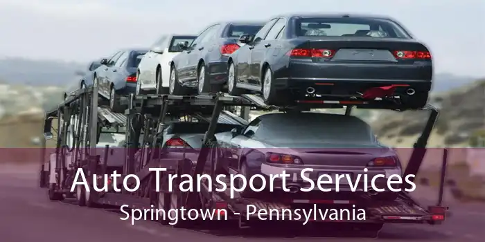 Auto Transport Services Springtown - Pennsylvania