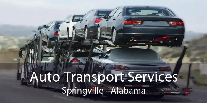 Auto Transport Services Springville - Alabama
