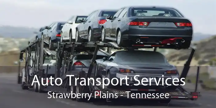 Auto Transport Services Strawberry Plains - Tennessee
