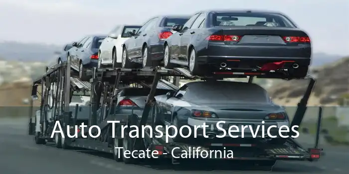 Auto Transport Services Tecate - California