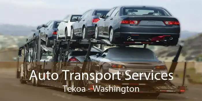Auto Transport Services Tekoa - Washington