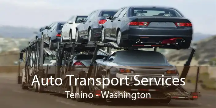 Auto Transport Services Tenino - Washington