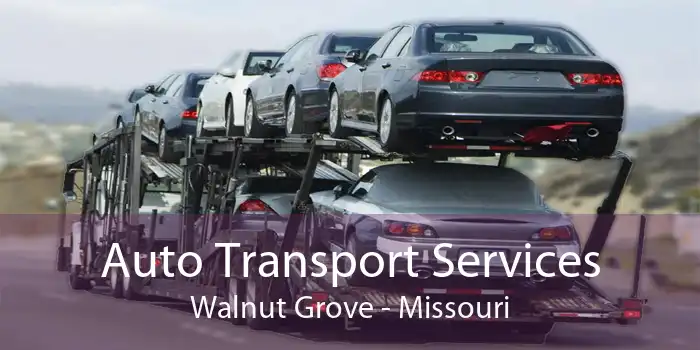 Auto Transport Services Walnut Grove - Missouri
