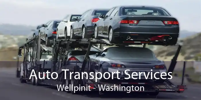 Auto Transport Services Wellpinit - Washington