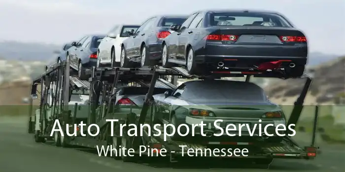 Auto Transport Services White Pine - Tennessee