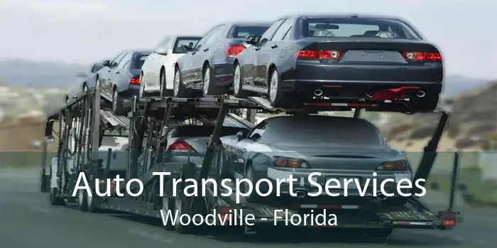 Auto Transport Services Woodville - Florida