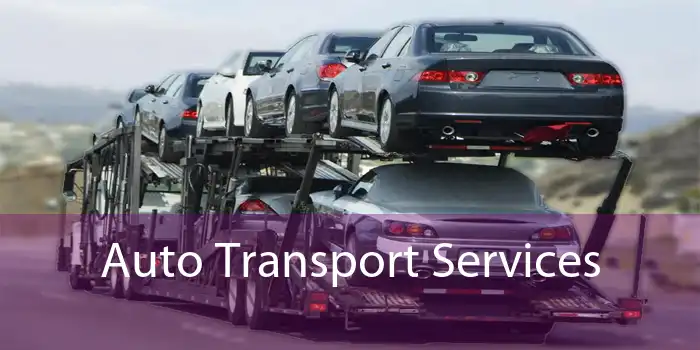 Auto Transport Services 