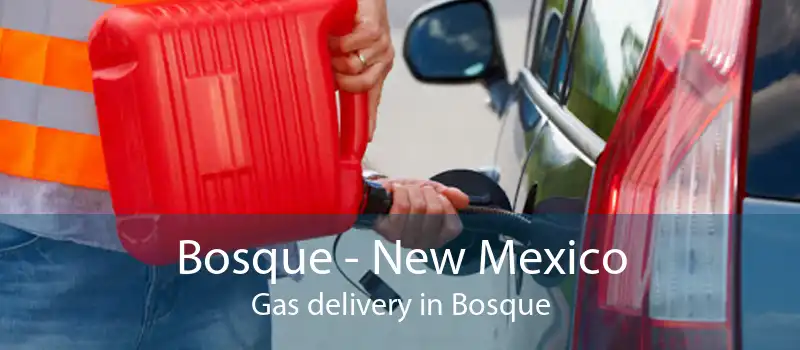 Bosque - New Mexico Gas delivery in Bosque