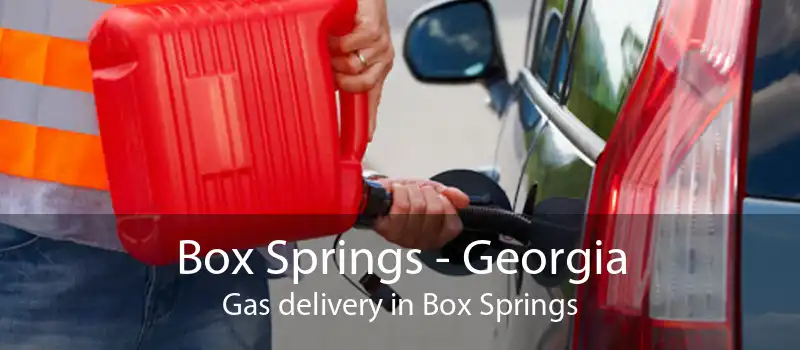 Box Springs - Georgia Gas delivery in Box Springs