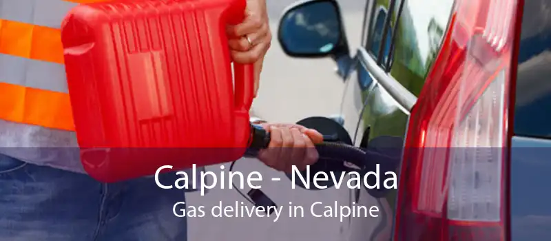 Calpine - Nevada Gas delivery in Calpine