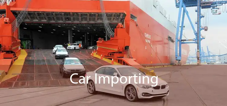 Car Importing 