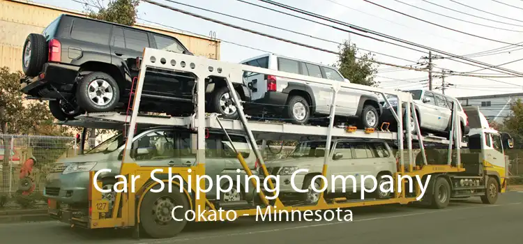 Car Shipping Company Cokato - Minnesota