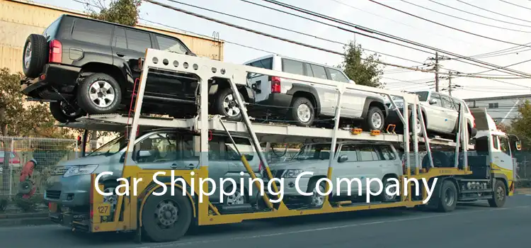 Car Shipping Company 