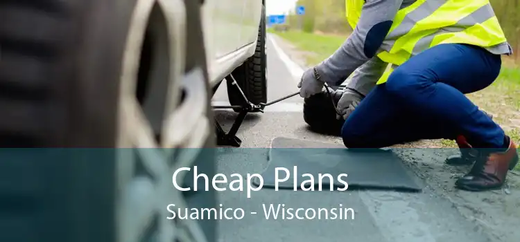 Cheap Plans Suamico - Wisconsin