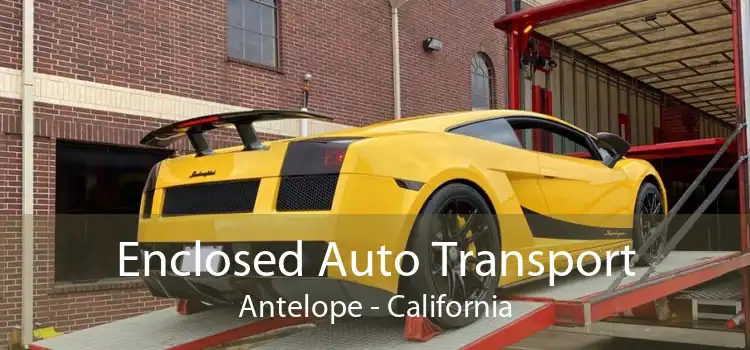 Enclosed Auto Transport Antelope - California