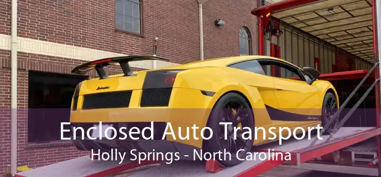 Enclosed Auto Transport Holly Springs - North Carolina