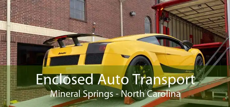 Enclosed Auto Transport Mineral Springs - North Carolina