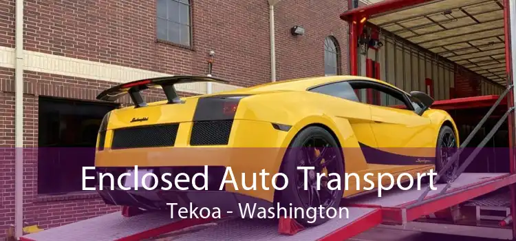 Enclosed Auto Transport Tekoa - Washington