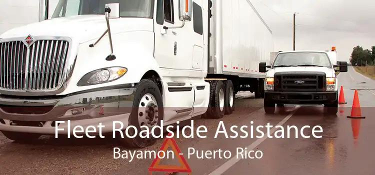 Fleet Roadside Assistance Bayamon - Puerto Rico