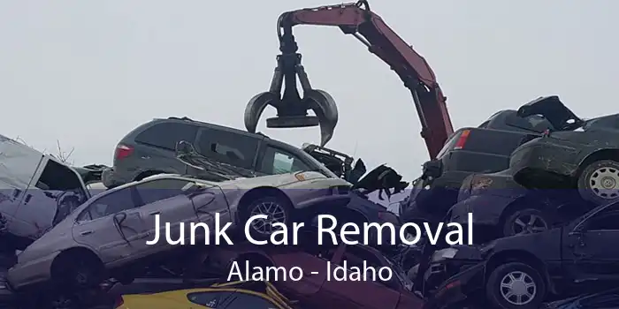 Junk Car Removal Alamo - Idaho