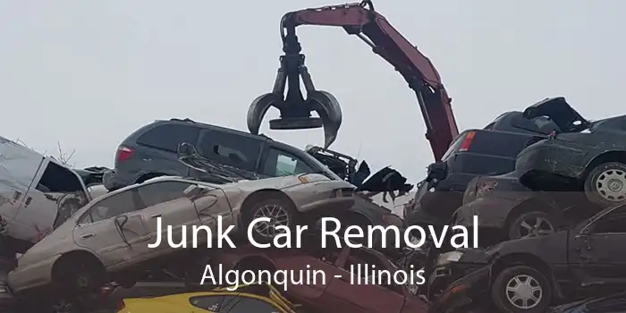 Junk Car Removal Algonquin - Illinois