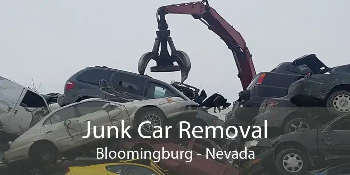 Junk Car Removal Bloomingburg - Nevada
