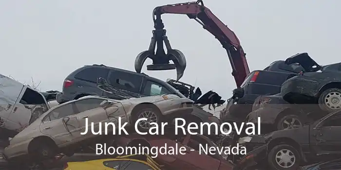 Junk Car Removal Bloomingdale - Nevada