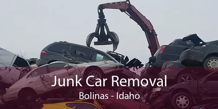 Junk Car Removal Bolinas - Idaho