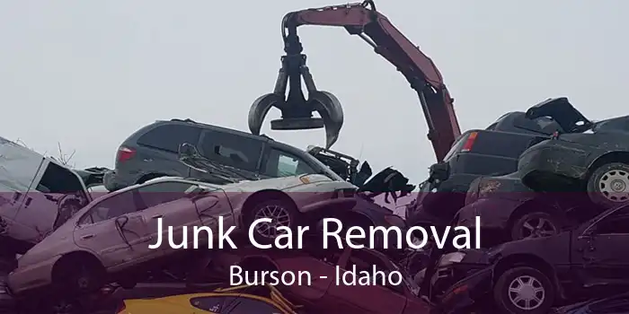 Junk Car Removal Burson - Idaho