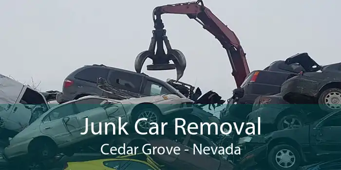 Junk Car Removal Cedar Grove - Nevada