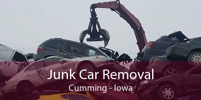 Junk Car Removal Cumming - Iowa