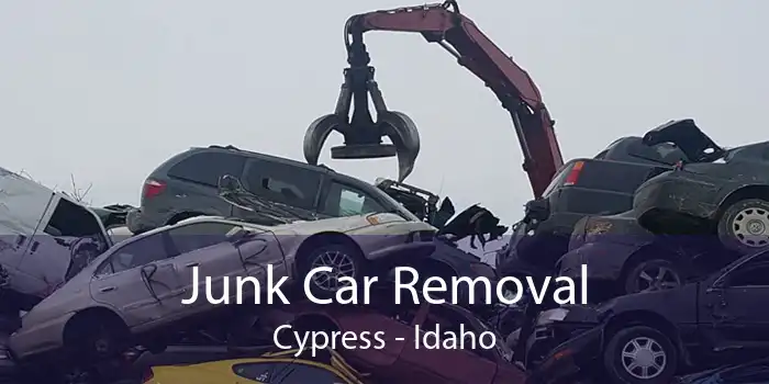 Junk Car Removal Cypress - Idaho