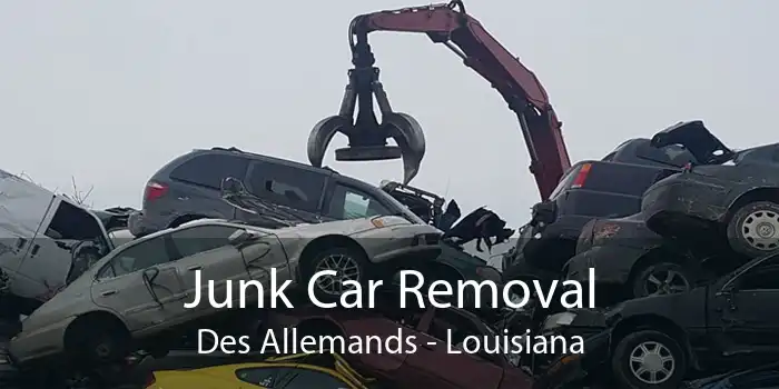 Junk Car Removal Des Allemands - Louisiana