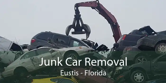 Junk Car Removal Eustis - Florida