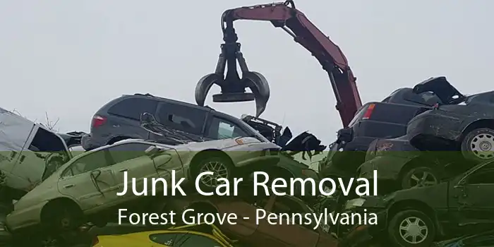 Junk Car Removal Forest Grove - Pennsylvania