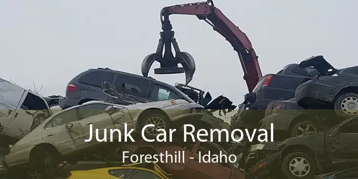Junk Car Removal Foresthill - Idaho
